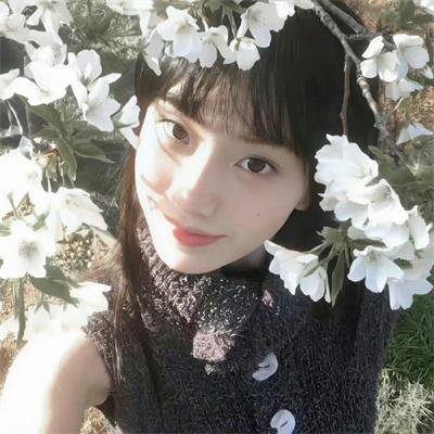 女高怪谈5：结伴自杀